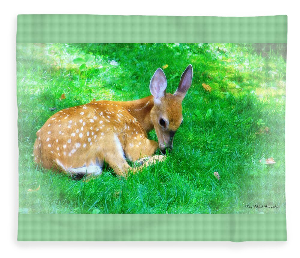 Nature Wildlife Fawn Fleece Blanket featuring the photograph Cozy Fawn by Mary Walchuck