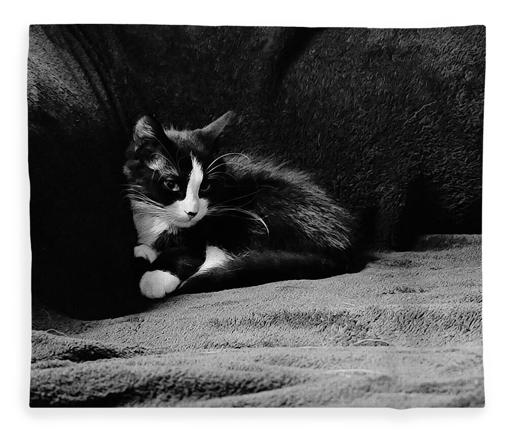 Kitten Fleece Blanket featuring the photograph Cozy time kitty by Shalane Poole