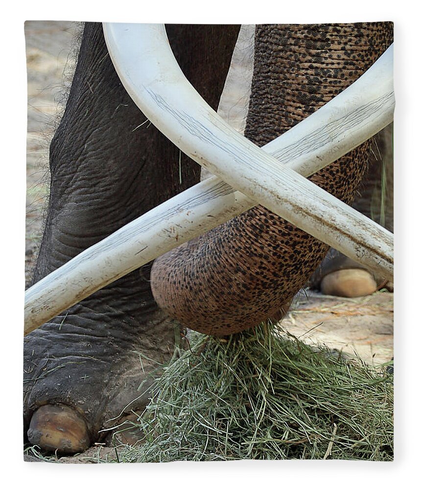 Elephant Fleece Blanket featuring the photograph Crossed Tusks by M Kathleen Warren