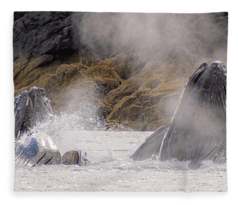 Whales Fleece Blanket featuring the photograph Cruising the Shoreline by Michael Rauwolf