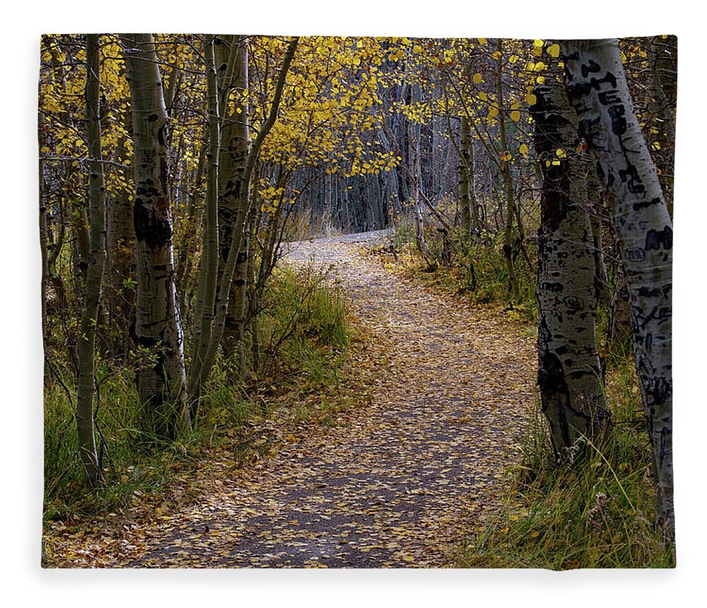 Pathway Fleece Blanket featuring the photograph Crunchy Leaves - Autumnal Pathway - June Lake Loop - CA. by Bonnie Colgan