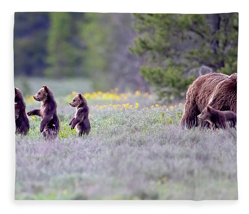 Grizzly Bear Fleece Blanket featuring the photograph Cub Scouts by Jack Bell