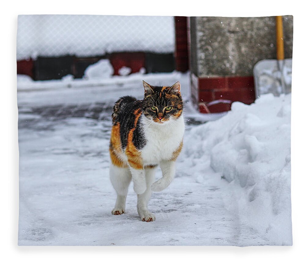 Liza Fleece Blanket featuring the photograph Cat's jump in winter by Vaclav Sonnek