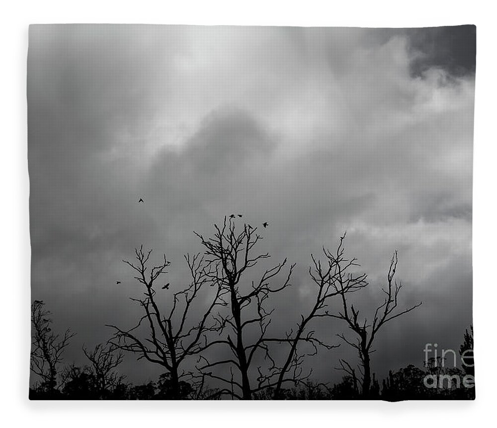 Trees Fleece Blanket featuring the photograph Currawongs 2 by Elaine Teague