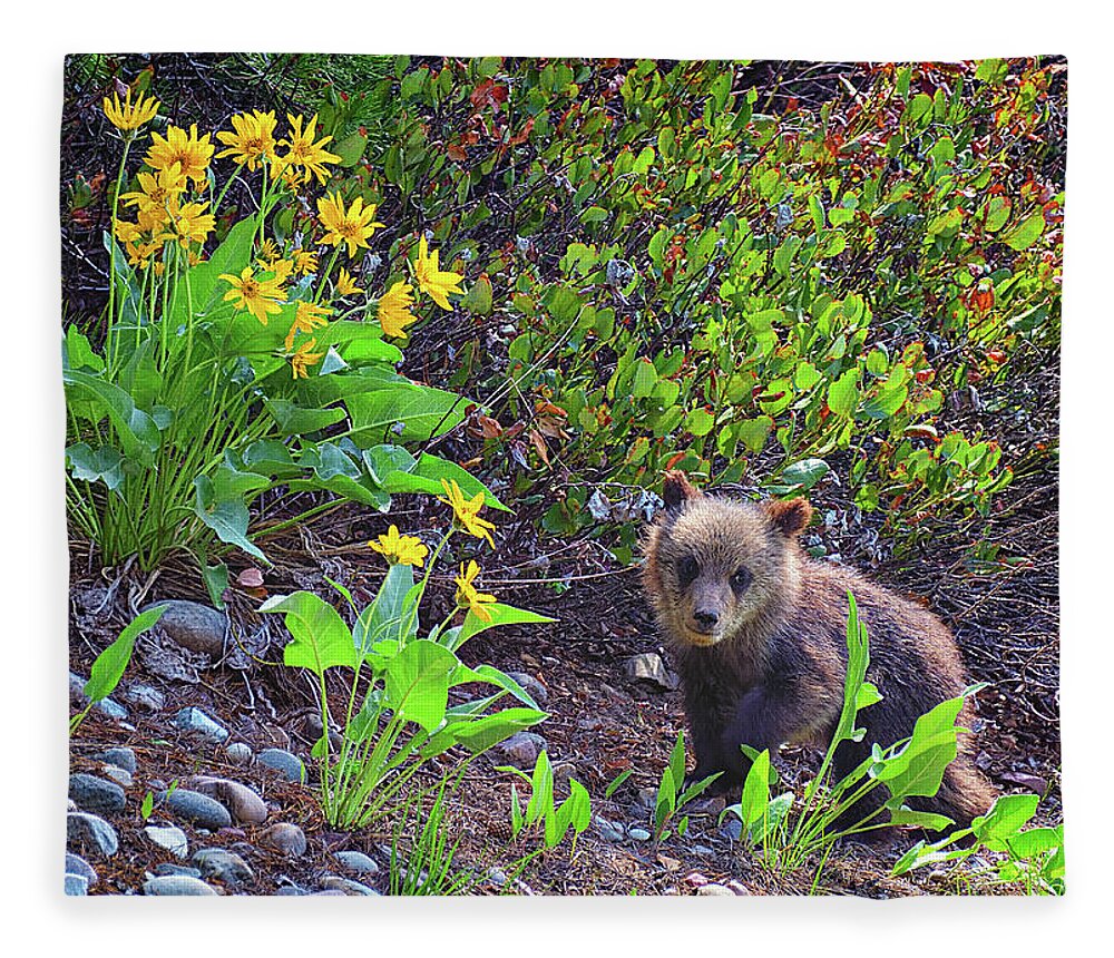 Grizzly Cub Fleece Blanket featuring the photograph Cutie Pie Cub by Greg Norrell