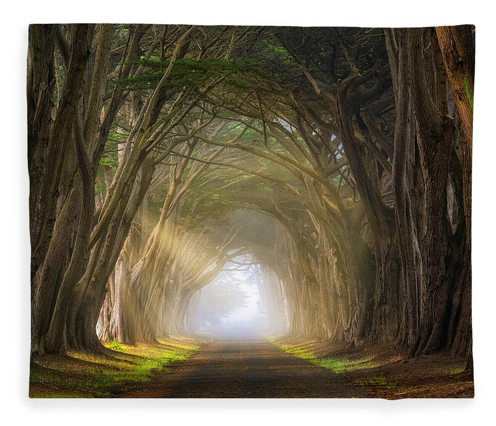 Cypress Fleece Blanket featuring the photograph Cypress Tree Tunnel by Michael Ash