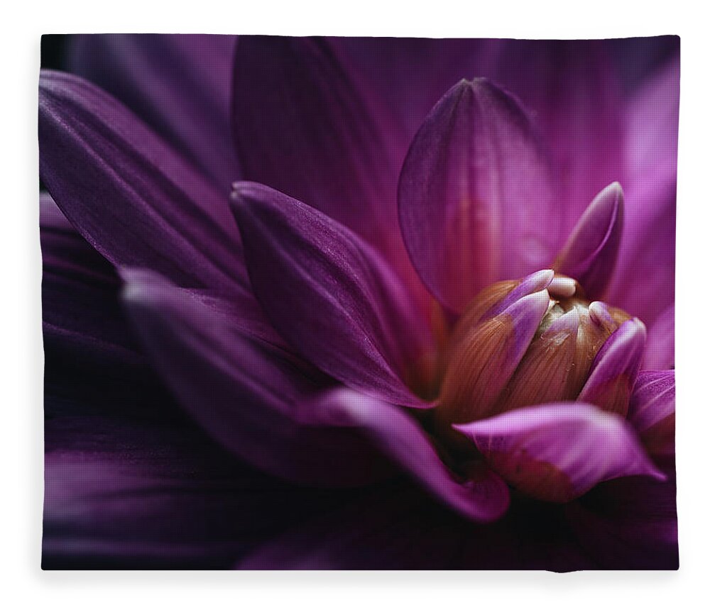 Dahlia Fleece Blanket featuring the photograph Dahlia #1 by Ada Weyland