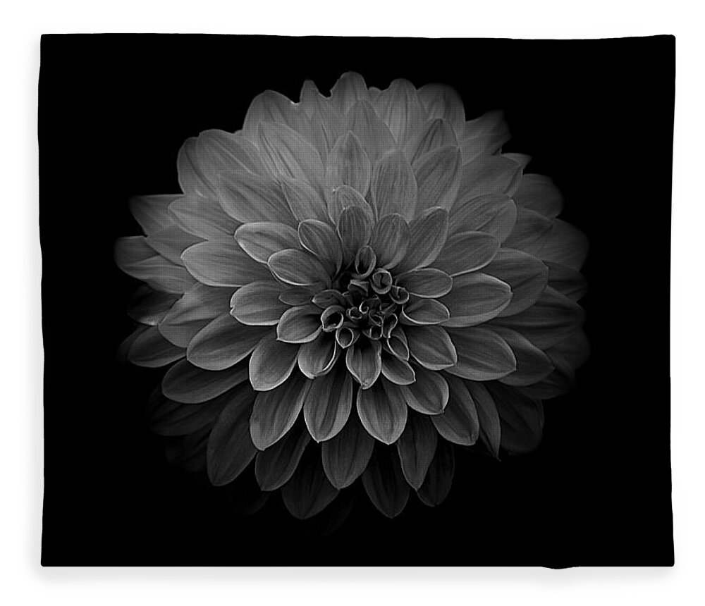 Art Fleece Blanket featuring the photograph Dahlia IV Black and White by Joan Han