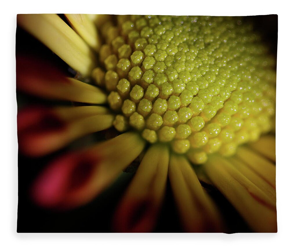 Macro Fleece Blanket featuring the photograph Daisy 6043 by Julie Powell
