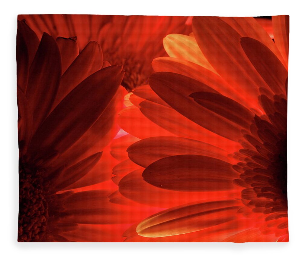 Macro Fleece Blanket featuring the photograph Daisy 9396 by Julie Powell
