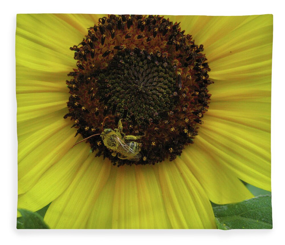 Flowers Fleece Blanket featuring the photograph Daisy Bee by Segura Shaw Photography
