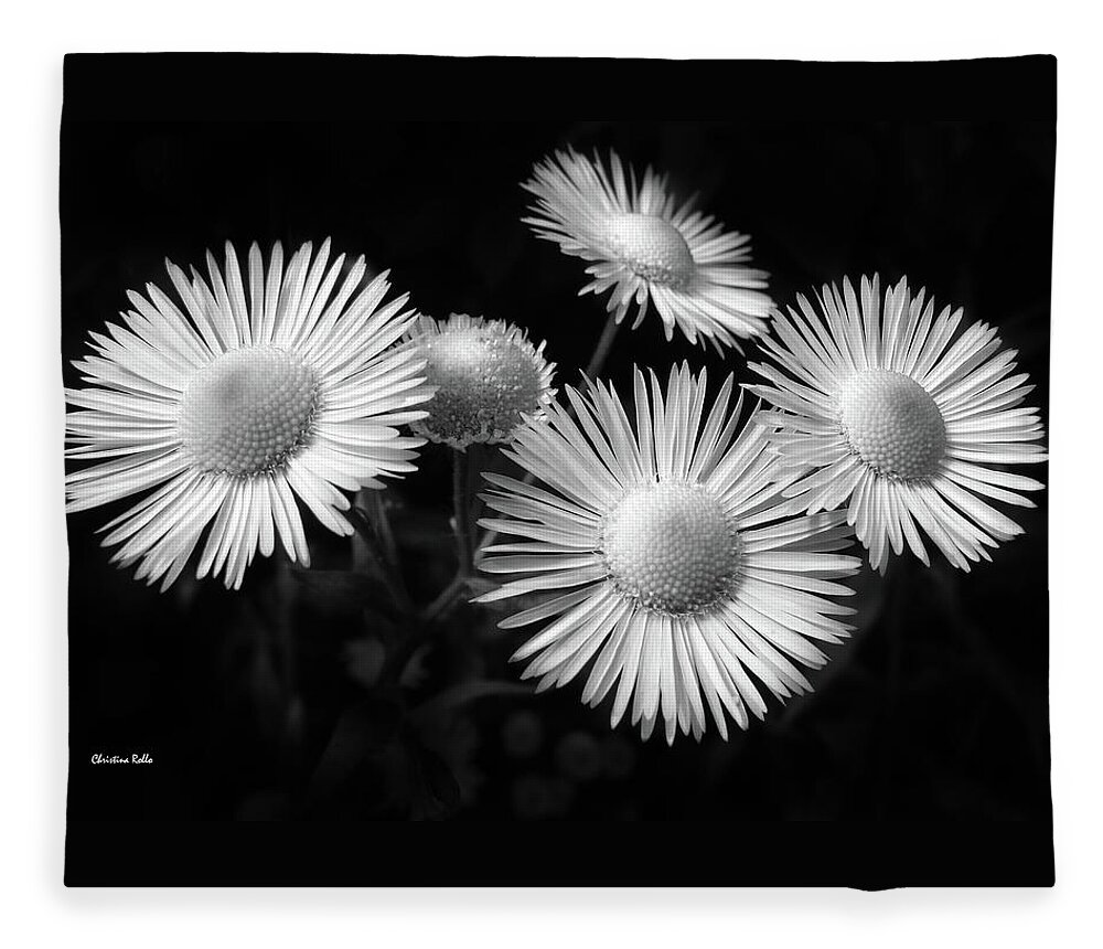 Black And White Fleece Blanket featuring the photograph Daisy Flowers Black and White by Christina Rollo