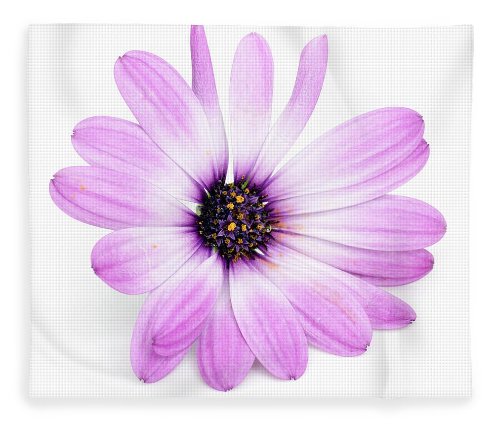 Flower Fleece Blanket featuring the photograph Daisybush Osteospermum barberiae flowerhead by Viktor Wallon-Hars