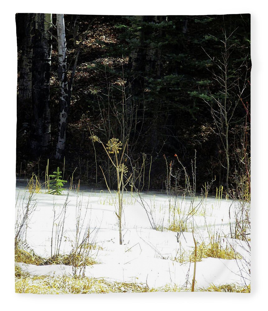 Nature Fleece Blanket featuring the photograph Dancing Star Weed along Fossil Bed Trail in Colorado by Julia L Wright