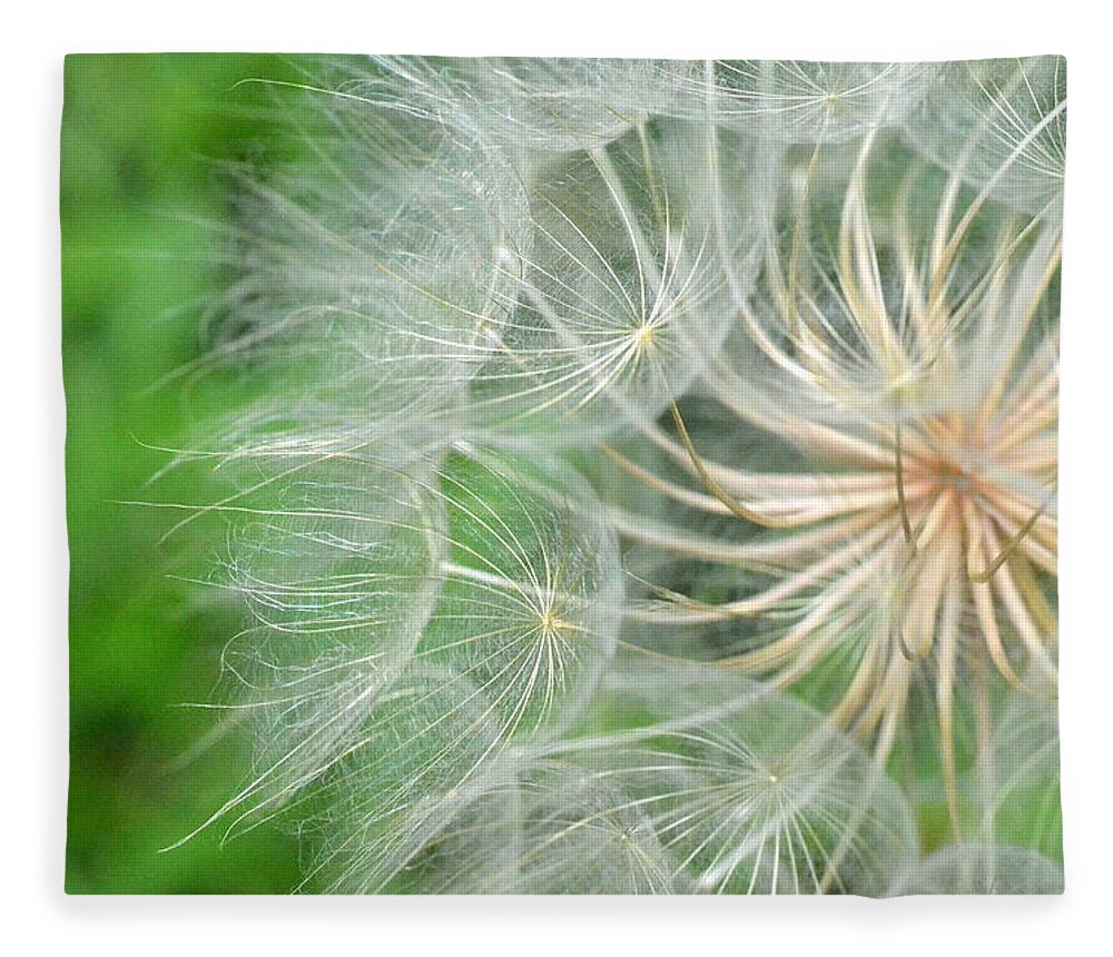 Nature Fleece Blanket featuring the photograph Dandelion 5 by Amy Fose