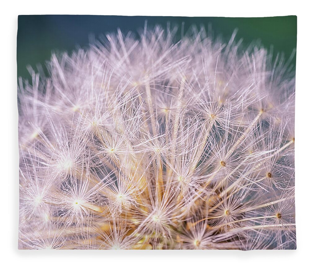 Dandelion Fleece Blanket featuring the photograph Dandelion Head by Framing Places