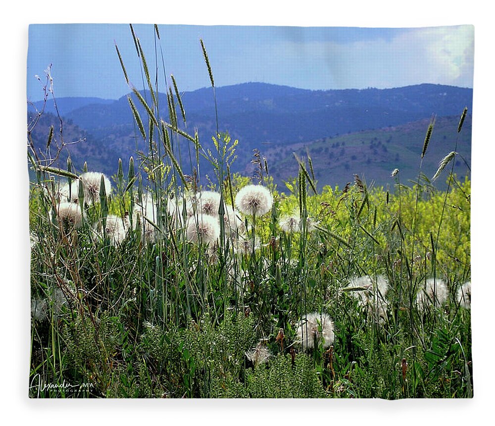 Dandelion Fleece Blanket featuring the photograph Dandelions and Mountains by Kathryn Alexander MA