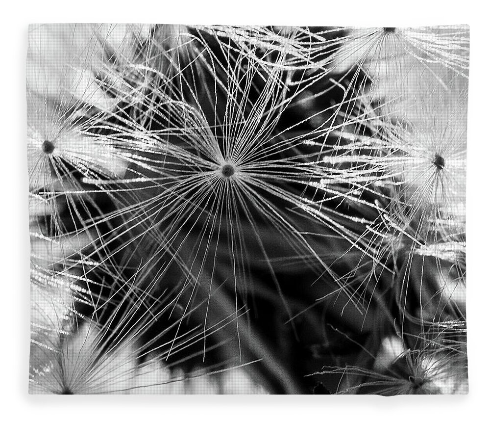 Plants Fleece Blanket featuring the photograph Dandelions Clock by Louis Dallara