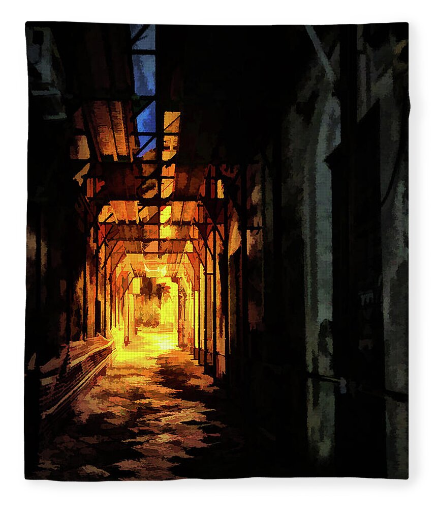 2019 Fleece Blanket featuring the photograph Dante's Alley by Monroe Payne