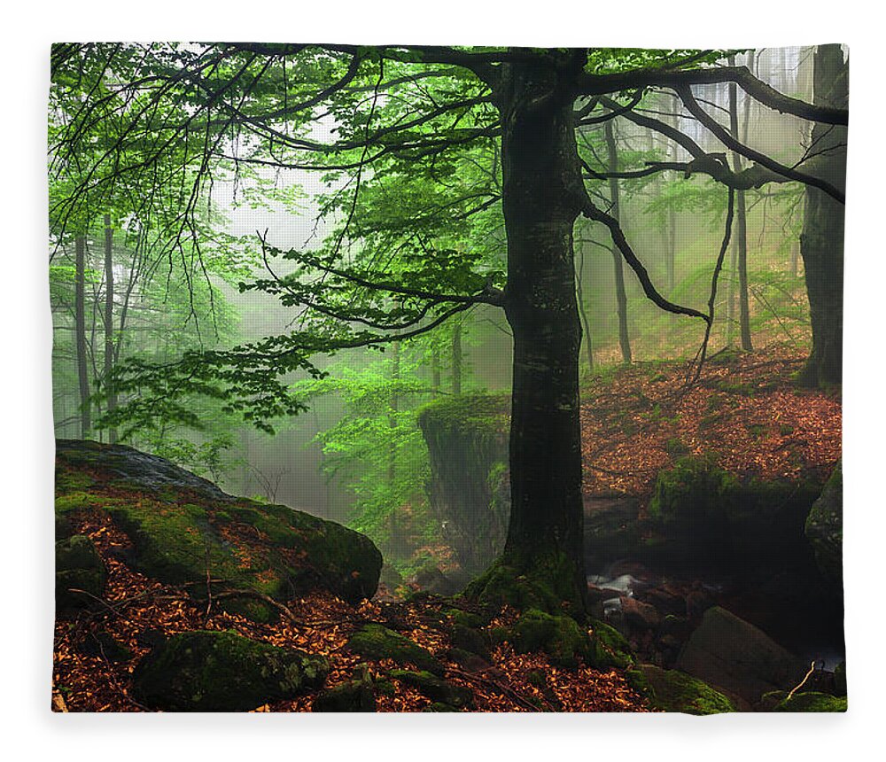 Fog Fleece Blanket featuring the photograph Dark Forest by Evgeni Dinev