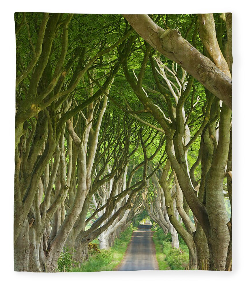 The Game Of Thrones Fleece Blanket featuring the photograph Dark Hedges, County Antrim, Northern Ireland by Neale And Judith Clark