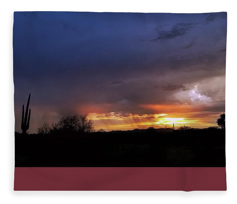 Arizona Fleece Blanket featuring the photograph Sky Harbor - Signed by Gene Taylor