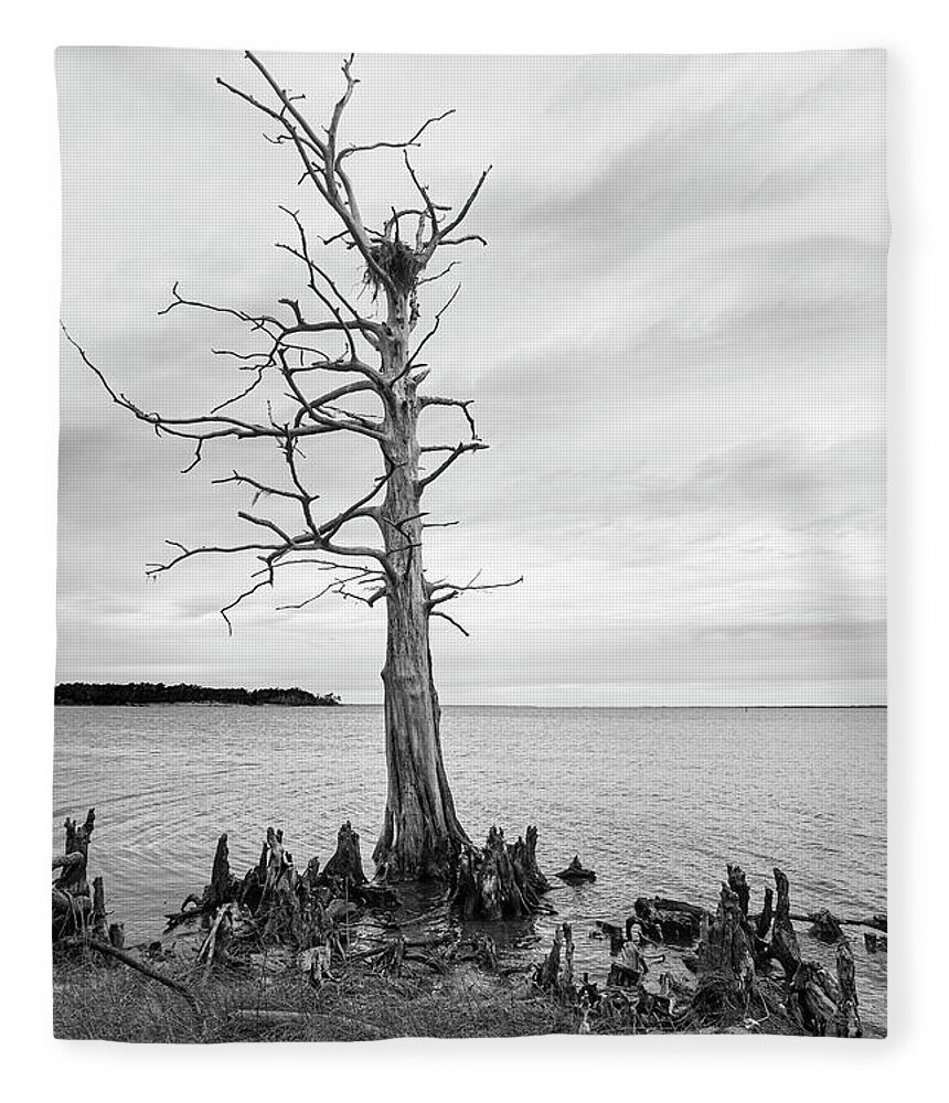 Black And White Fleece Blanket featuring the photograph Dead Bald Cypress with Osprey Nest on the Neuse River by Bob Decker