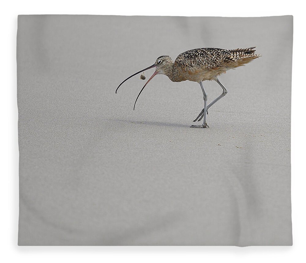 Animals Fleece Blanket featuring the photograph Death of a Sand Crab by James Covello