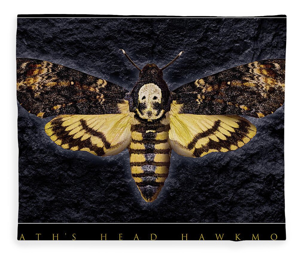 Death's-head Hawkmoth Fleece Blanket featuring the photograph Deaths Head Hawk Moth Framed Version by Weston Westmoreland