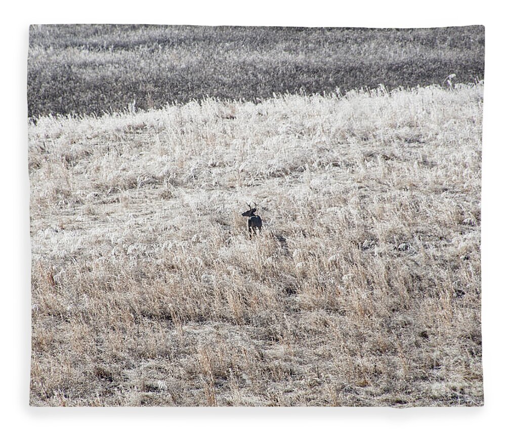 Deer Fleece Blanket featuring the photograph Deer At Cades Cove by Phil Perkins