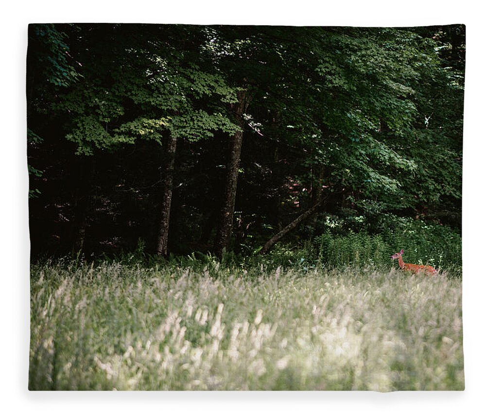 Photography Fleece Blanket featuring the photograph Deer in the Grass by Evan Foster