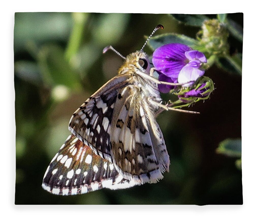 Butterfly Fleece Blanket featuring the photograph Delicate Beauty by Laura Putman