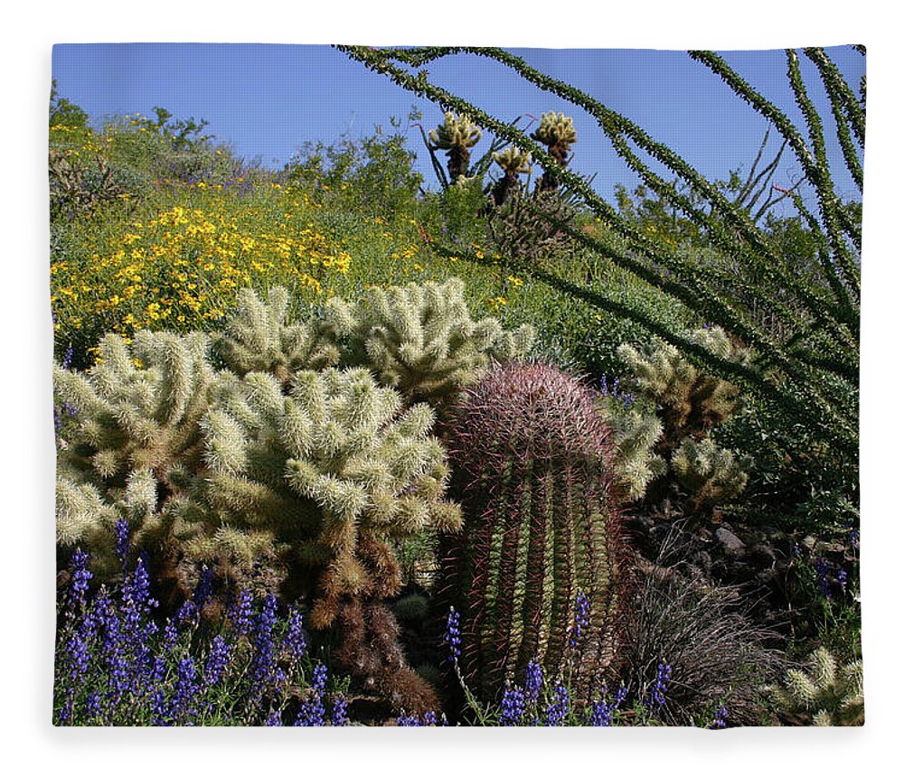 Desert Fleece Blanket featuring the photograph Desert Cholla - Spring Wildflowers by Gene Taylor