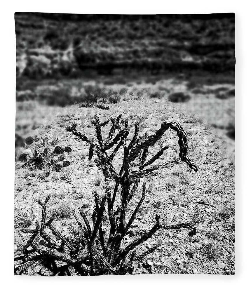 Desert Fleece Blanket featuring the photograph Desert Floor by George Taylor