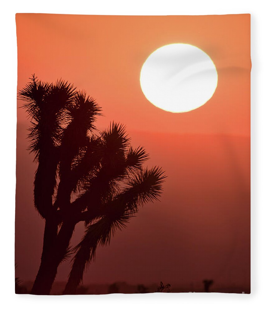  Fleece Blanket featuring the photograph Desert Sunrise by Vincent Bonafede