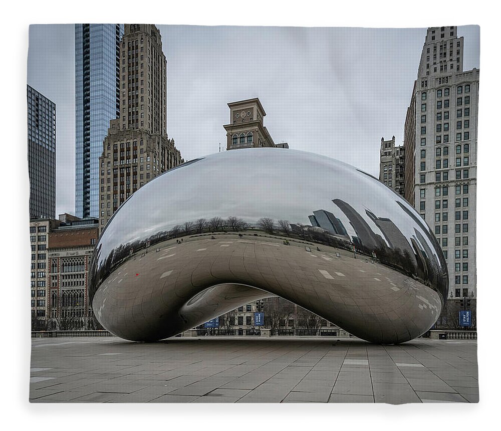 Chicago Fleece Blanket featuring the photograph Deserted Bean by Laura Hedien