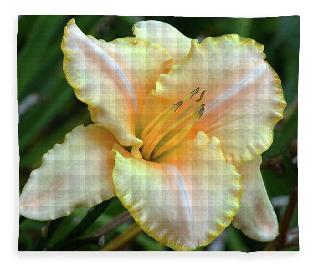 Daylily Fleece Blanket featuring the photograph Desirable Daylily. by Terence Davis