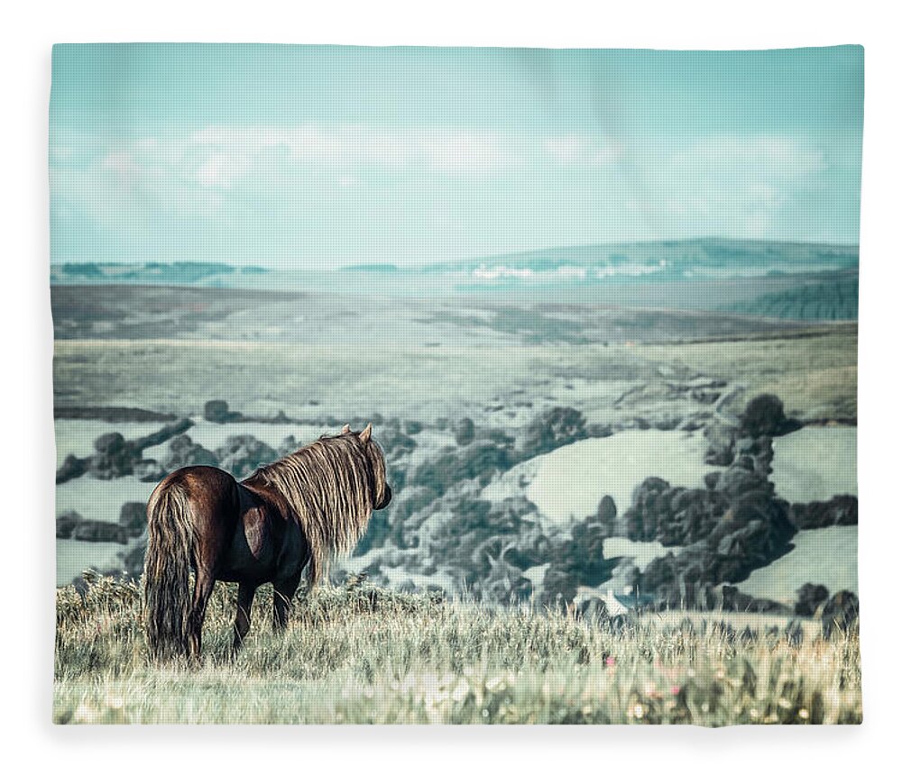 Photographs Fleece Blanket featuring the photograph Devin - Horse Art by Lisa Saint