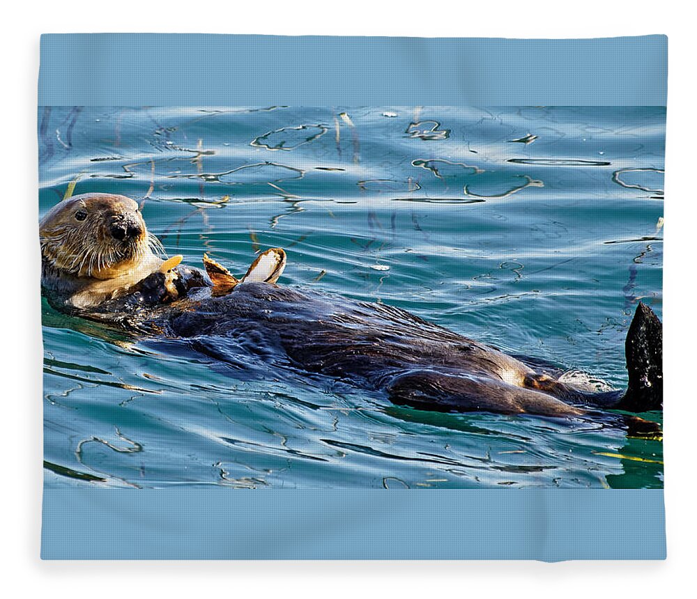 Kj Swan Aquatic Animals Fleece Blanket featuring the photograph Dining Al Fresco - Sea Otter by KJ Swan