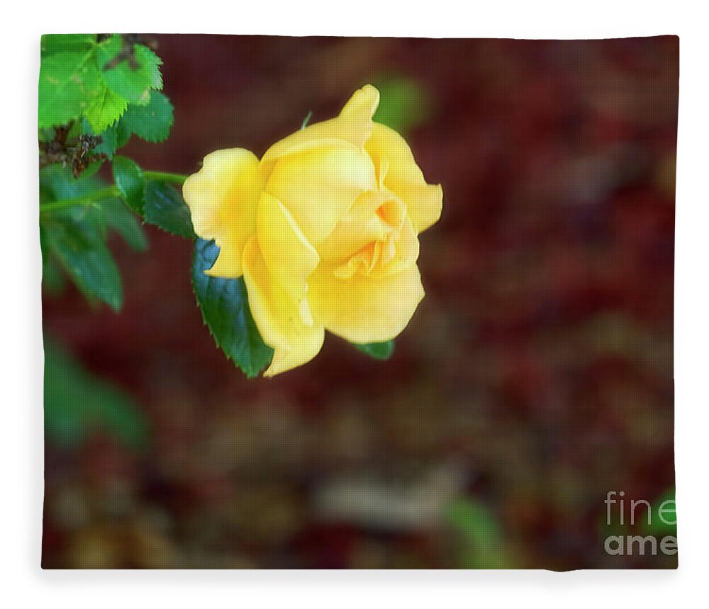 Rose Fleece Blanket featuring the photograph Dipped in Sunshine by Joan Bertucci