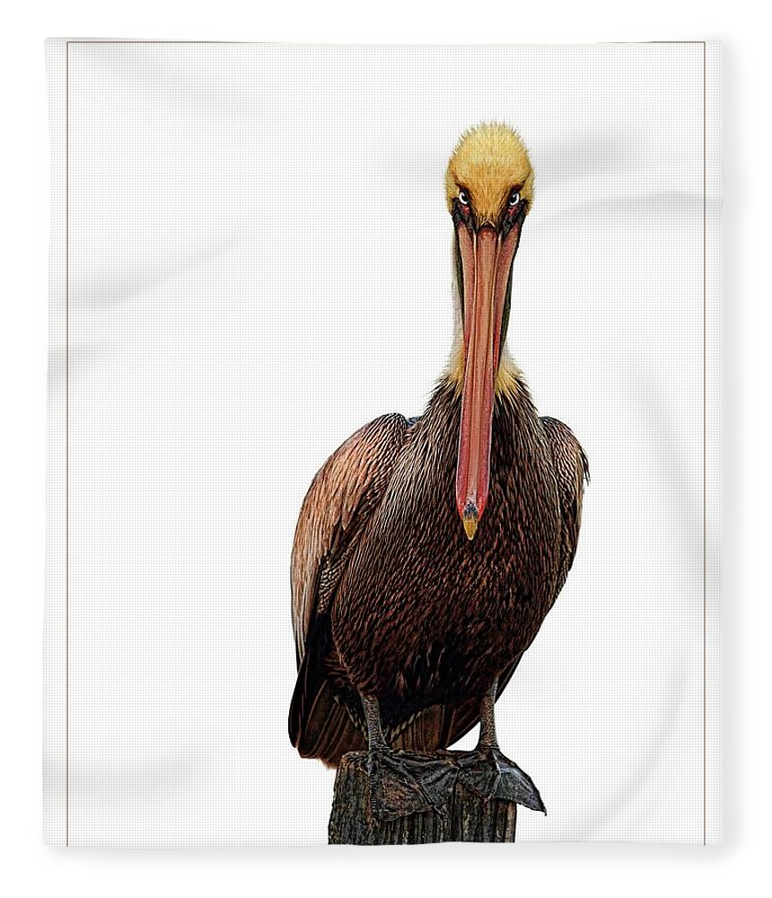 Pelican Fleece Blanket featuring the digital art Disapproving Pelican by Brad Barton