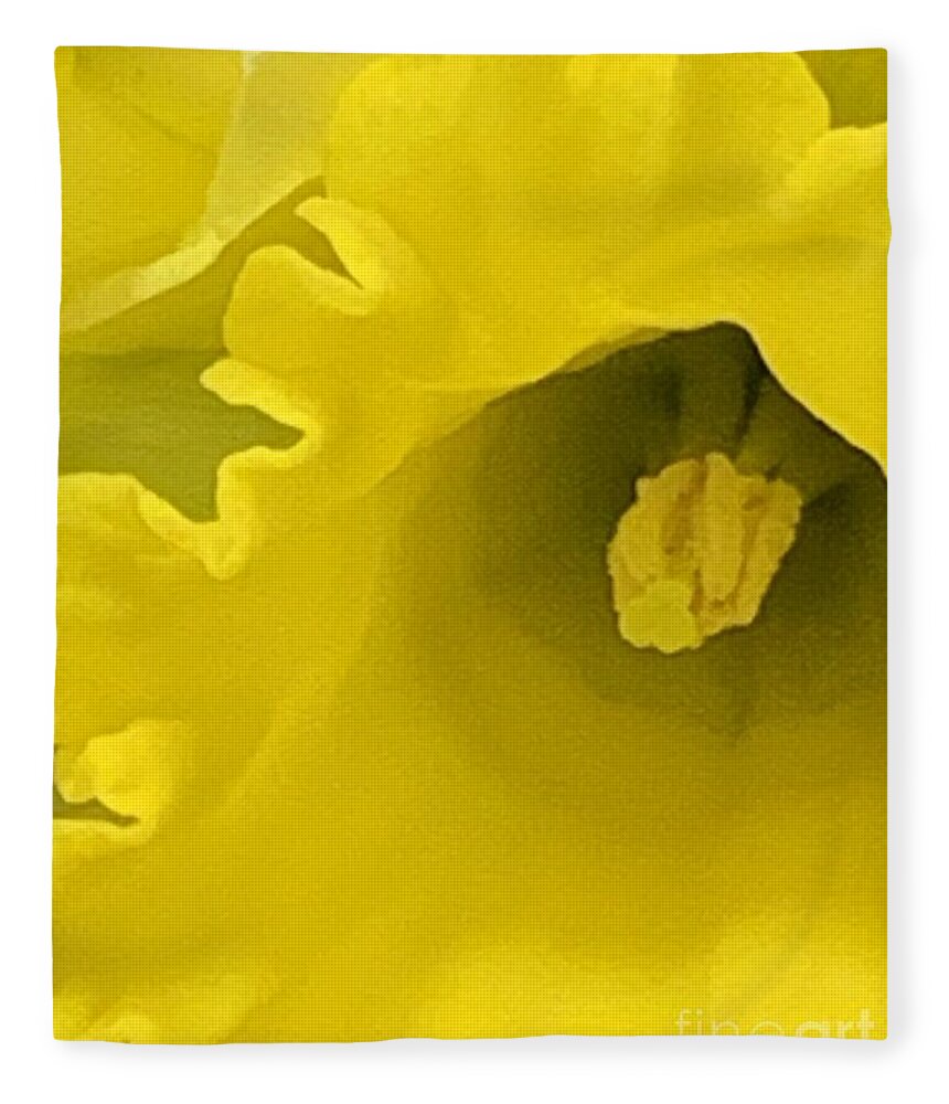 Daffodil Fleece Blanket featuring the photograph Divinely Golden by Tiesa Wesen