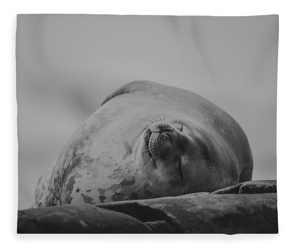 03feb20 Fleece Blanket featuring the photograph Do Not Awaken - Makes Me Crabby BW by Jeff at JSJ Photography