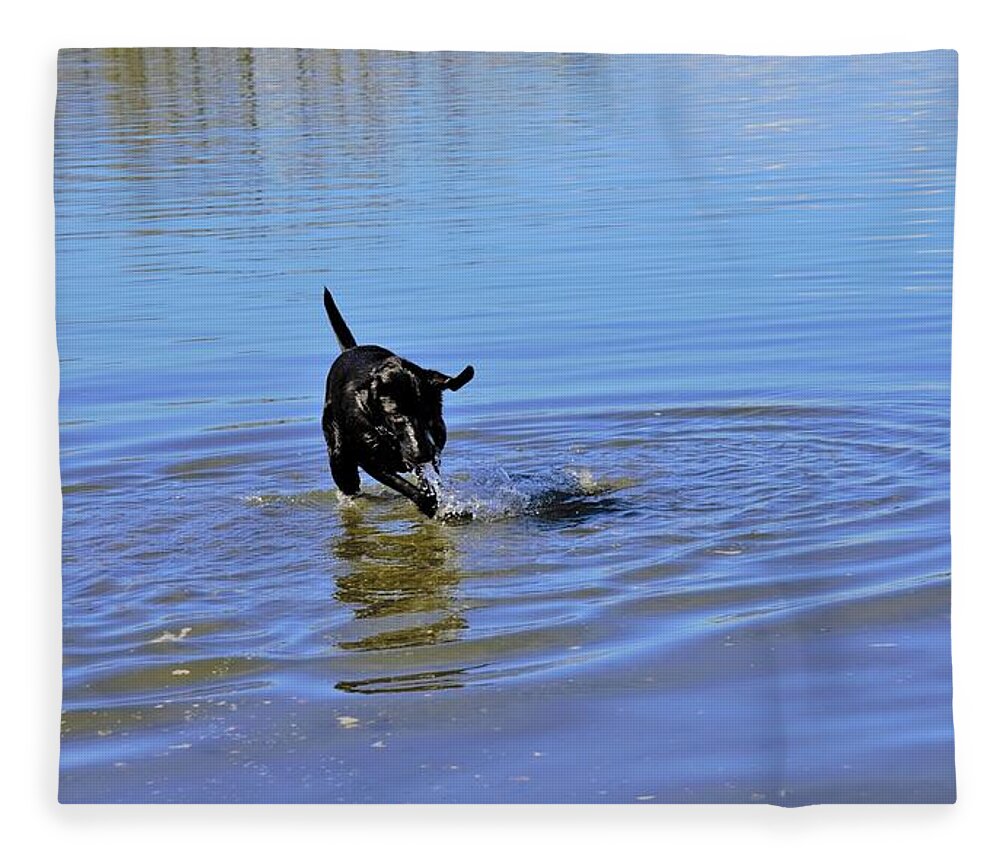 Lab Fleece Blanket featuring the photograph Dog Days of Summer by James Cousineau