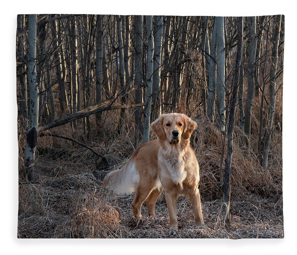 Dog Fleece Blanket featuring the photograph Dog In The Woods by Karen Rispin