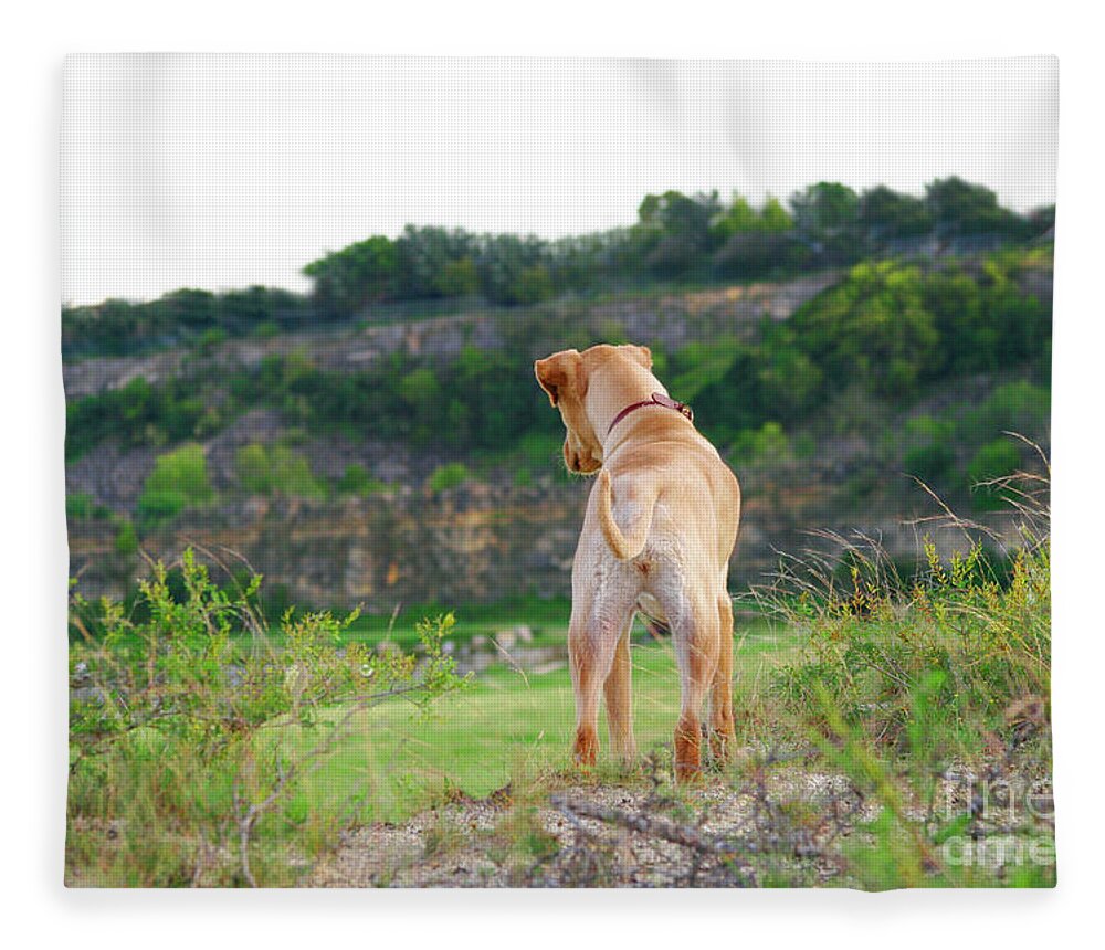 Dogs Fleece Blanket featuring the photograph Doggie Adventure by Renee Spade Photography