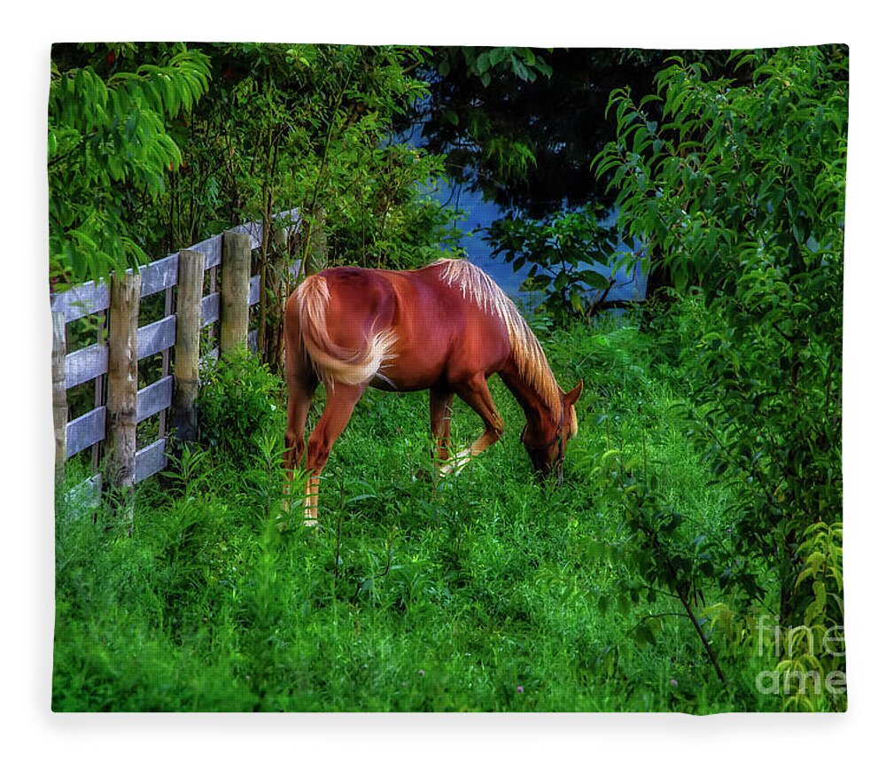 Horse Fleece Blanket featuring the photograph Don't fence me in... by Shelia Hunt