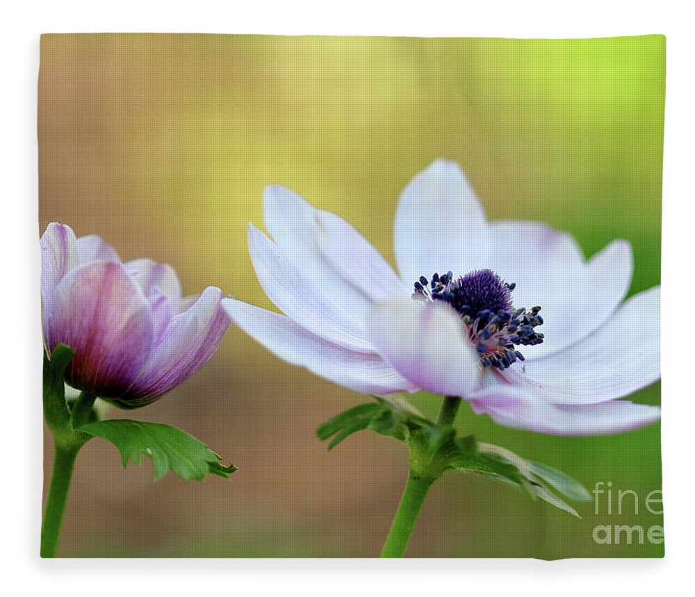 Nature Fleece Blanket featuring the photograph Double Anemone by Baggieoldboy