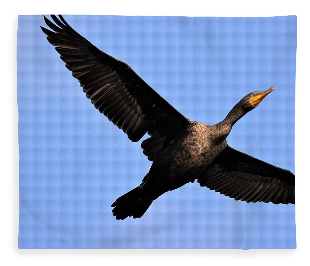 Bird Fleece Blanket featuring the photograph Double Crested Cormorant in Flight by Mingming Jiang