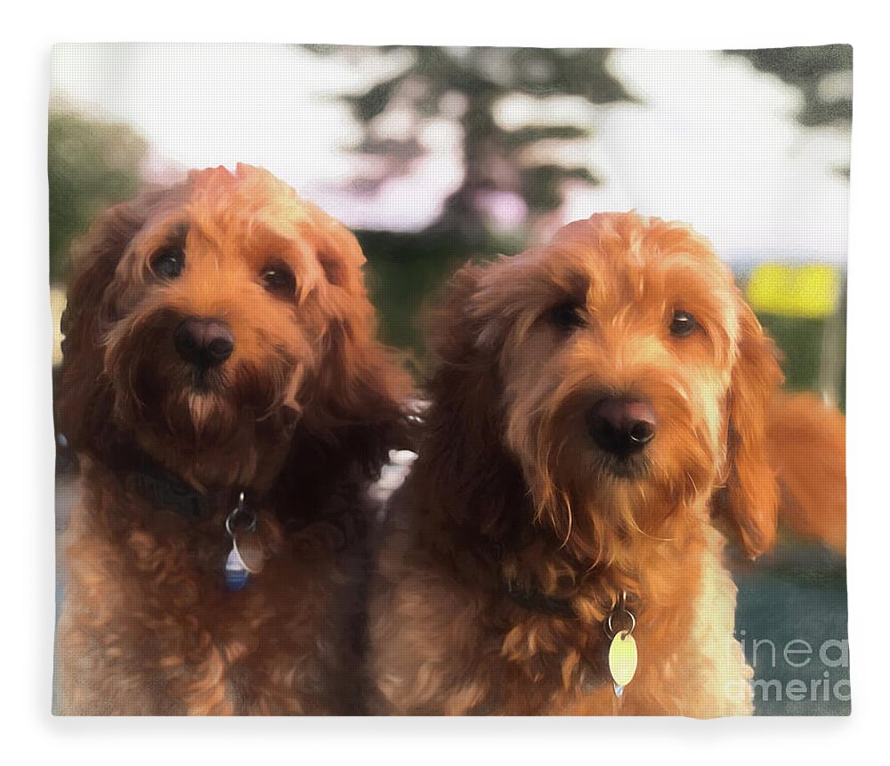 Goldendoodle Fleece Blanket featuring the photograph Double Goldendoodle by Xine Segalas